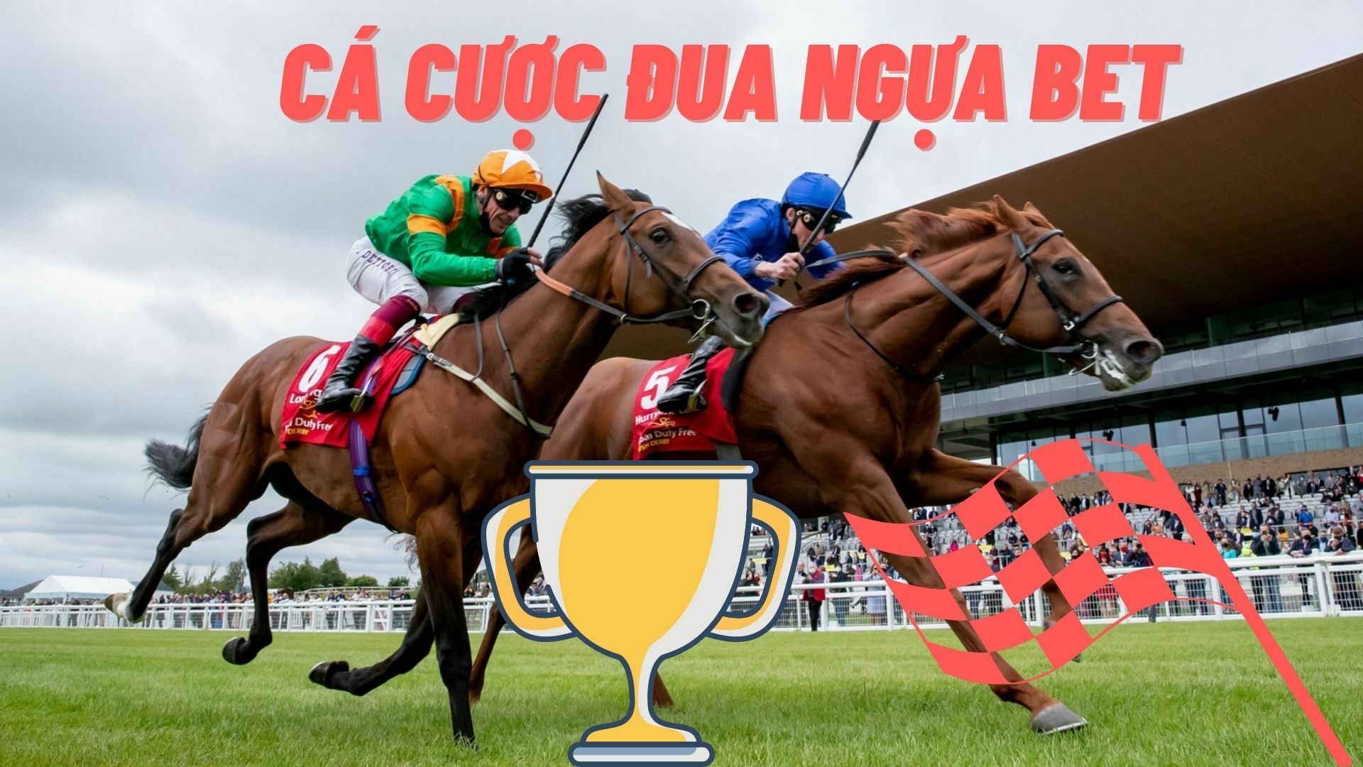 Cá cược đua ngựa bet tại nhà cái cá cược online Kubet