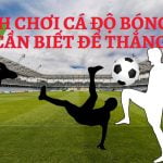 Cách chơi cá độ bóng đá cơ bản ai cũng cần biết để thắng