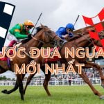 Chiến lược cá cược đua ngựa bet mới nhất 2022